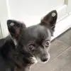 CllnPrc - @colleenpearce4 - TikTok
