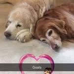 Colleen Pearson - @colleen1003oo - Instagram