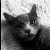 Colleen Pearson - @moonpie12345 - TikTok