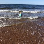 Colleen Perkins - @colleen.perkins.581 - Instagram