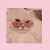piper ❣️ - @pipercolleen7 - TikTok