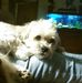 Colleen Plank - Facebook