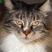 Colleen Plank - Facebook