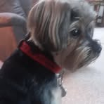 Colleen Pohl - Facebook