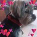 Colleen Pohl - Facebook