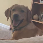 Colleen - @colleen_powers84 - Instagram