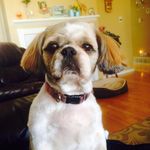 Colleen Powers - @randcpowers - Instagram