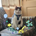 Colleen Powers - Facebook