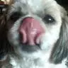 Colleen Powers - @damepowers - TikTok