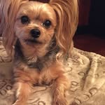 Colleen Randall - @erau5615 - Instagram