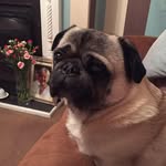 Colleen Rayner - @colleen.rayner22 - Instagram