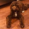 colleenray468 - @colleenray468 - TikTok