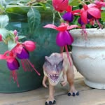 Colleen Reader - @trexreader - Instagram