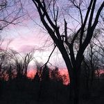 Colleen Redmond - @chevgal122 - Instagram