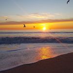 Colleen Redmond - @caredmond2 - Instagram