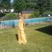 Colleen Reitz - Facebook
