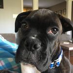 @colleen_robichaud709 - Instagram