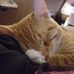 Colleen Rollins - Facebook