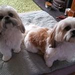 Colleen Roy - @colleen1169 - Instagram