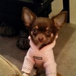 Colleen Russo - @colleenrusso56 - Instagram