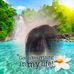 Colleen Snell - Facebook