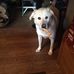Colleen Snell - Facebook