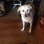 Colleen Snell - @colleen.snell.5 - Instagram