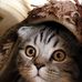 Colleen Snell - Facebook