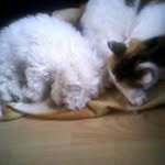Colleen Spencer - @colleenspencer44 - Instagram