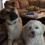 Colleen Starkey - @htpj_gma - Instagram