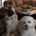 Colleen Starkey - Facebook