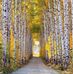 Colleen Stratton - Facebook