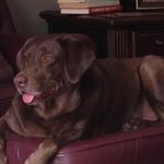 Colleen Sutherland - @colleen.sutherland.750 - Instagram