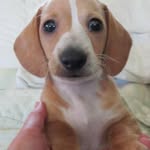 Colleen Sweeney Steblein - @colleensteblein - Instagram