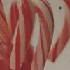 Colleen Timko271 - @race3dtictok - TikTok