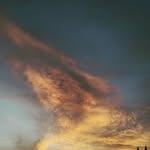 Colleen Toneff - @colleenx123 - Instagram