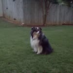Colleen Toth - @lleen09 - Instagram