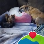 Colleen Townsend - @colleentownsend3474 - Instagram