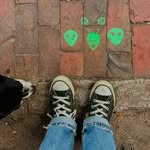 Colleen Townsend - @colleenbobean - Instagram