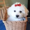 Colleen Townsend - @colleen.townsend5 - TikTok