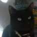 Colleen Trainor - Facebook