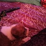 Colleen Tucker - @colleen.tucker.73157 - Instagram