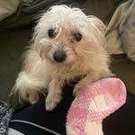 Colleen Tucker - @colleentucker1955 - Instagram