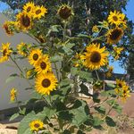 Colleen Eaton-Gambaro Valley - @valley.colleen - Instagram