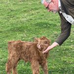 Colleen Vickers - @greenwoodshighlands - Instagram
