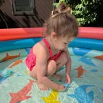 Colleen Walsh Volk - @mrsv4o6 - Instagram