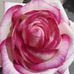 Colleen Walker - Facebook