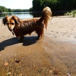 Colleen Waugh - @ccerasani1 - Instagram