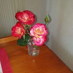 Colleen Waugh - @colleen.waugh.9 - Instagram