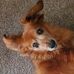 Colleen Waugh - Facebook